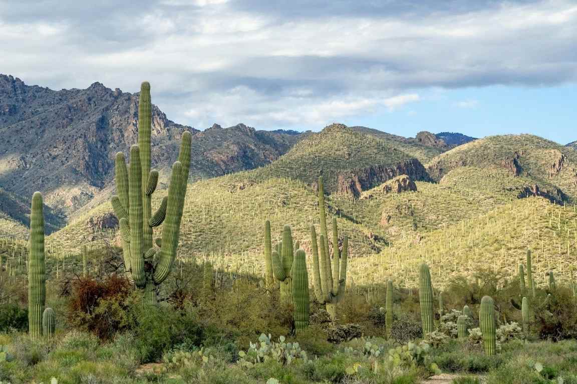 CoolVu Tucson natural park.